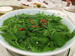 上汤桑叶-优之名鹅城