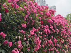-太阳宫公园