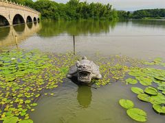 -昆山城市生态森林公园