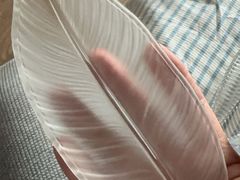 -Apple零售店(华贸购物中心店)