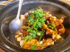 啫啫石斑-綱元·海鲜豆捞(明州里店)