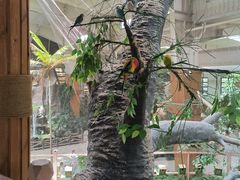 -南宫五洲植物乐园