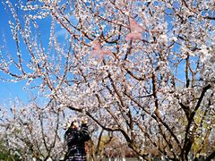 -永定河休闲森林公园