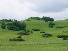 -塞罕坝国家级自然保护区