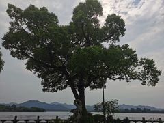 -杭州西湖柳莺里酒店