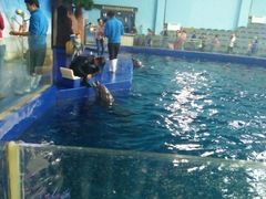 -石家庄市动物园