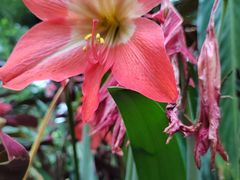 -海南热带野生动植物园