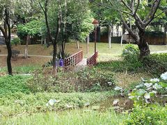 -怡海公园(桂城街道)