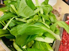 -月圆火锅(宁海东路二店)