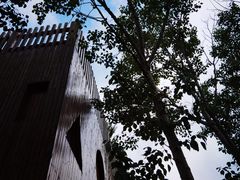 -野鸭湖国家湿地公园