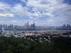 -茶颜悦色(岳麓山顶店)