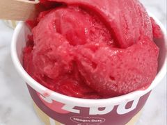覆盆子雪芭雪泥-哈根达斯(印力中心店)