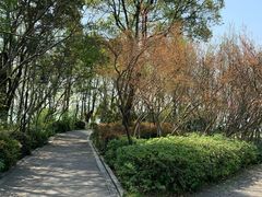 -金鸡湖桃花岛
