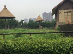 -南昌动物园
