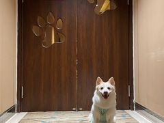 -天津京基皇冠假日酒店