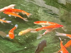 -惠食佳(滨江大公馆店)