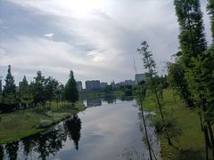 -眉山湿地公园(东坡区)
