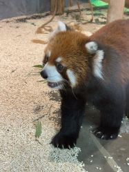 -Zoolung Zoolung动物主题公园(海信广场店)