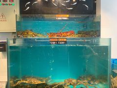水产区-潮粤香海鲜酒楼(沙湖店)