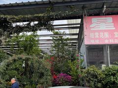 -金科花卉市场