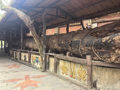 -海南槟榔谷黎苗文化旅游区