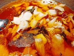 -雲蜀龙阁·金牌水煮鱼(方庄店)