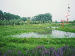 -东郊湿地公园