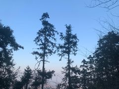 -冶父山国家森林公园