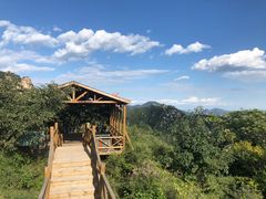-大岭沟猕猴桃谷风景区