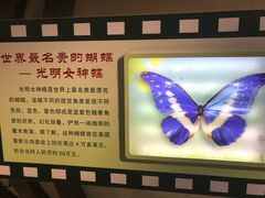 -上海昆虫博物馆