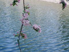 -海棠花溪(元大都城垣遗址公园)