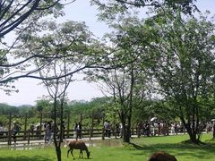 -良渚古城遗址公园