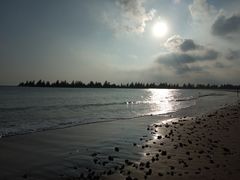 -东郊椰林