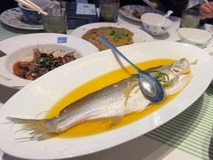 -桂满陇·蟹黄小笼汤包(清河万象店)
