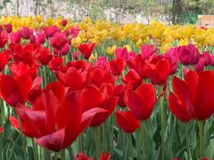 -国家植物园南园