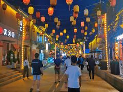 -鼎盛王朝康熙大典实景演出