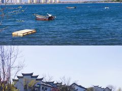 -唐岛湾公园