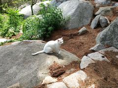 -崂山仰口游览区