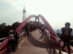 -金鸡山公园