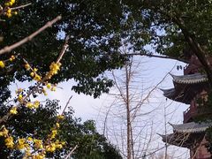 -盘门景区