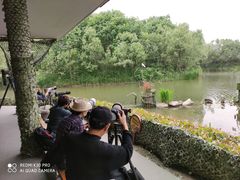 -新江湾城公园