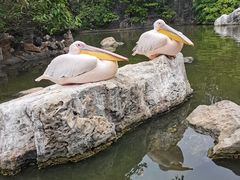 -昆明动物园