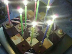 -维尔纳斯·生日蛋糕动物奶油冰淇淋蛋糕(人大店)