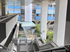 -香港大学