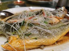 -潮福汇