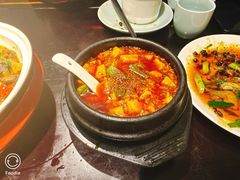 -陈麻婆豆腐总店