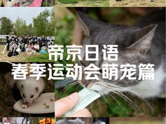 -帝京日语(春熙路旗舰校区)