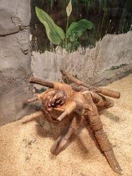 -Zoolung Zoolung动物主题公园(海信广场店)