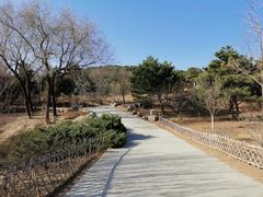 -北京西山国家森林公园