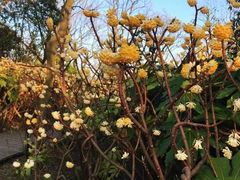 -吴淞炮台湾湿地森林公园烧烤区